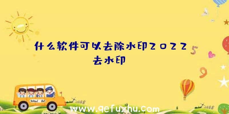 什么软件可以去除水印2022